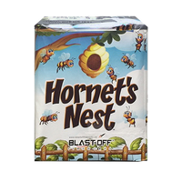 Blast Off Hornet's Nest Fireworks
