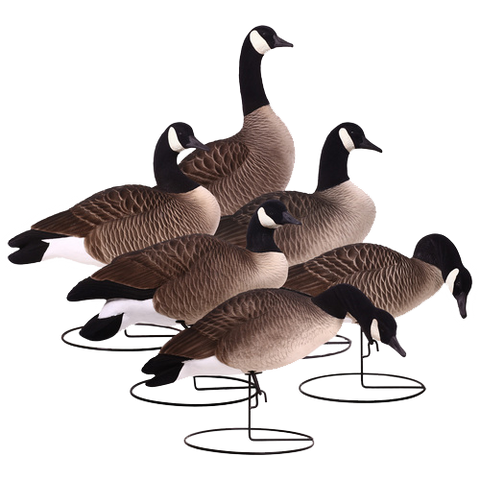 Duck and Goose Decoys