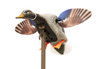Mojo Elite Series Mini Mallard Drake