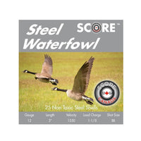 Score 12g 3" BB Steel Shot