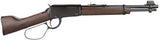 Henry Lever Action Rimfire Rifles