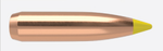 Nosler 270 Cal .277 150gr Ballistic Tip