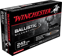 95gr Winchester Ballistic Silvertip 243